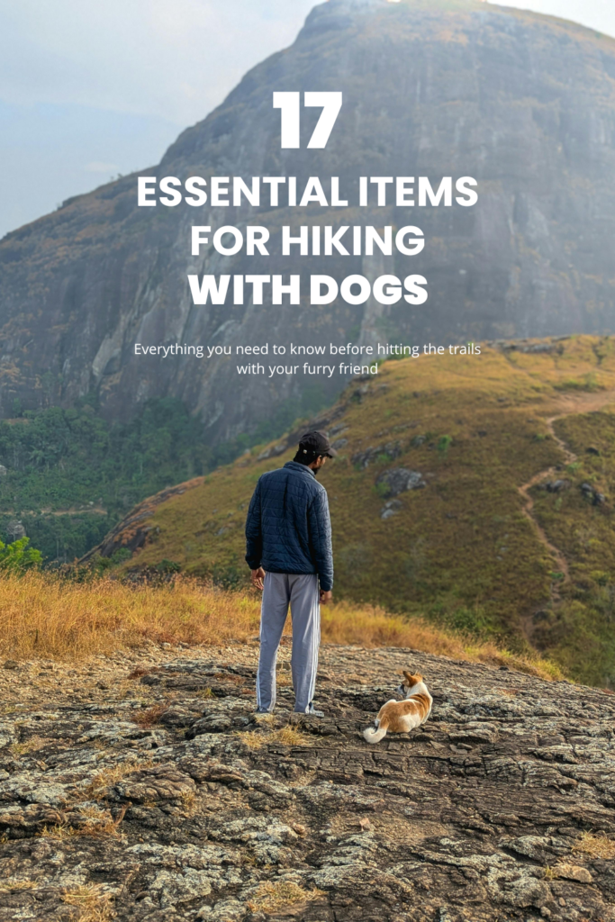 17 Essential items for hiking with dogs. Everything you need to know before hitting the trails with your fury friend.