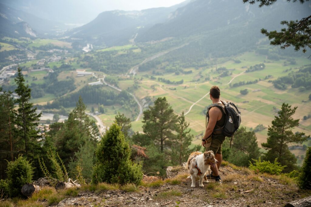 Hiking dog at the with views on the valley. Photo by Hugo Carle.